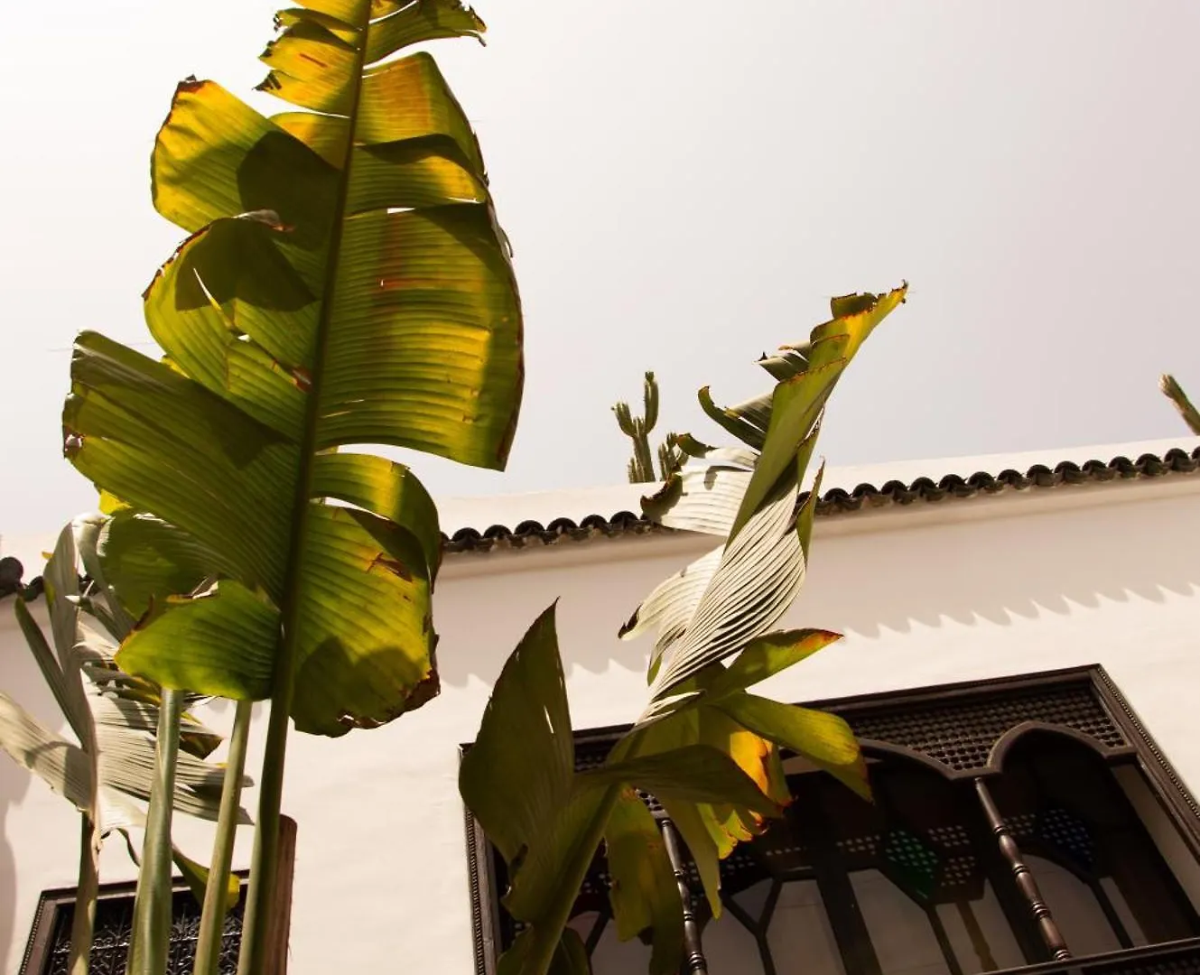 Bed & Breakfast Riad Dar El Mahja Marrakesh Marocco