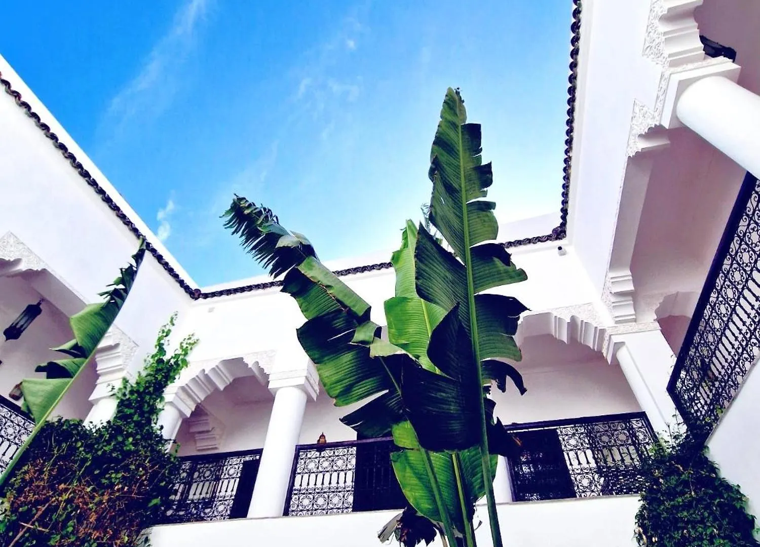 Bed & Breakfast Riad Dar El Mahja Marrakesh