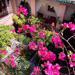 Toyour- Of Birds Riad Fez